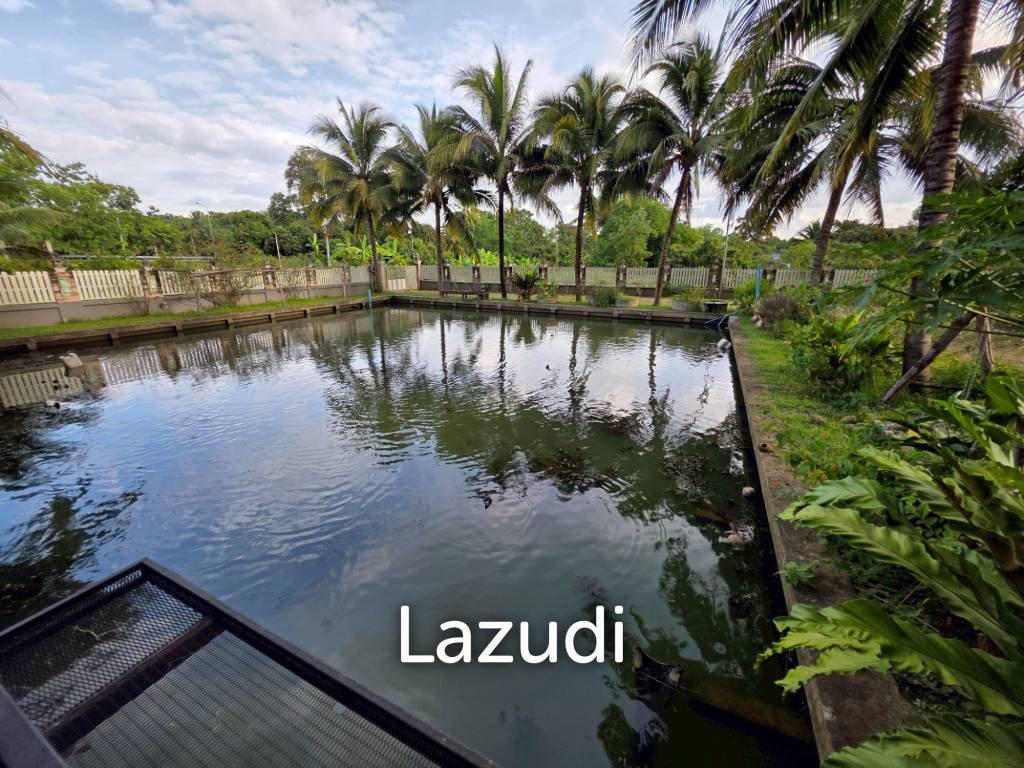 ขายบ้านในสวน 3 ห้องนอนและอาคารเอนกประสงค์ที่ อ.สันทราย