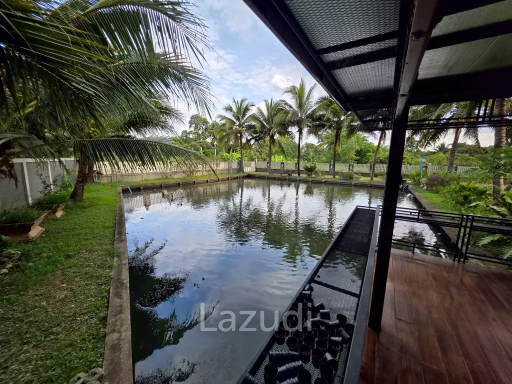 3 Bedrooms House For Sale surrounded by nature in San Sai