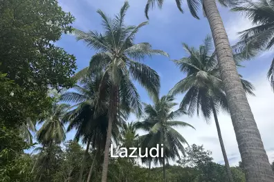 Stunning 1.5 rai plot for Rent