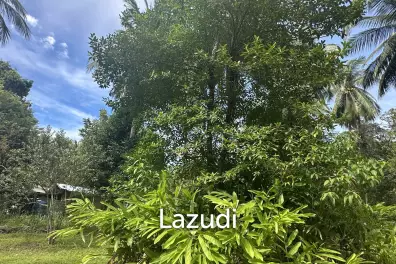 Stunning 1.5 rai plot for Rent