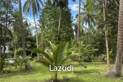 Stunning 1.5 rai plot for Rent