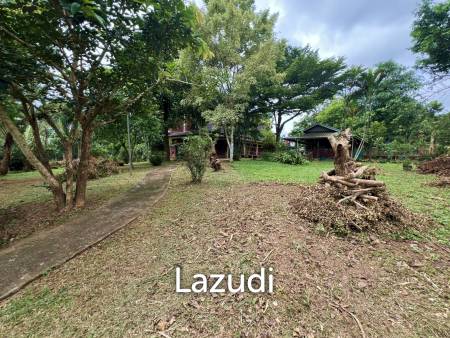 ขายบ้าน 2 ห้องนอนท่ามกลางธรรมชาติและต้นไม้ที่ห้วยปลากั้ง