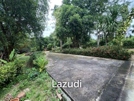 ขายบ้าน 2 ห้องนอนท่ามกลางธรรมชาติและต้นไม้ที่ห้วยปลากั้ง