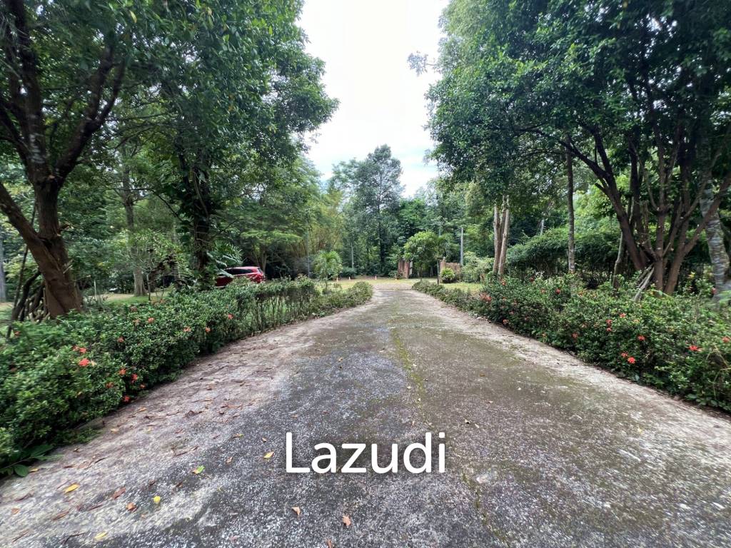 ขายบ้าน 2 ห้องนอนท่ามกลางธรรมชาติและต้นไม้ที่ห้วยปลากั้ง
