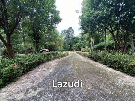 ขายบ้าน 2 ห้องนอนท่ามกลางธรรมชาติและต้นไม้ที่ห้วยปลากั้ง