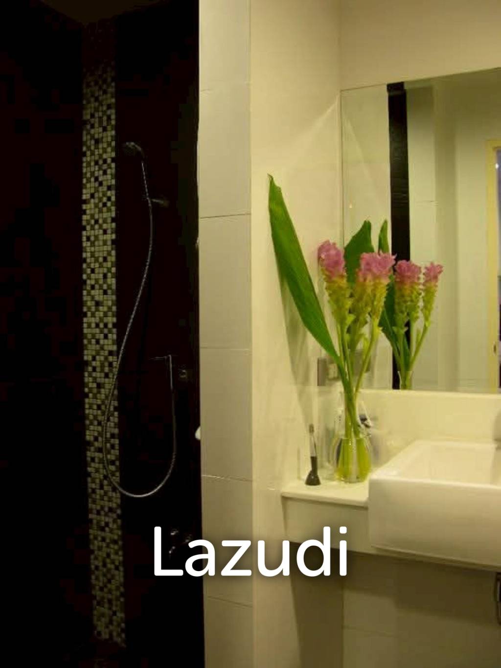 Studio unit with 1 bathroom 35.21 Sq.M. D 65 Condominium