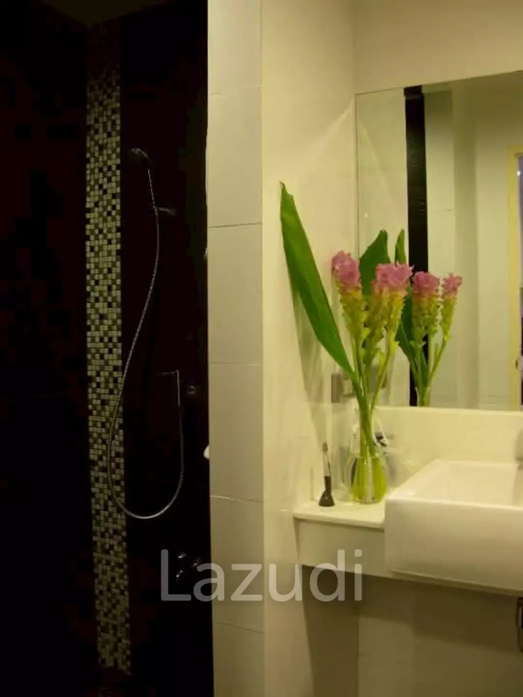 Studio unit with 1 bathroom 35.21 Sq.M. D 65 Condominium