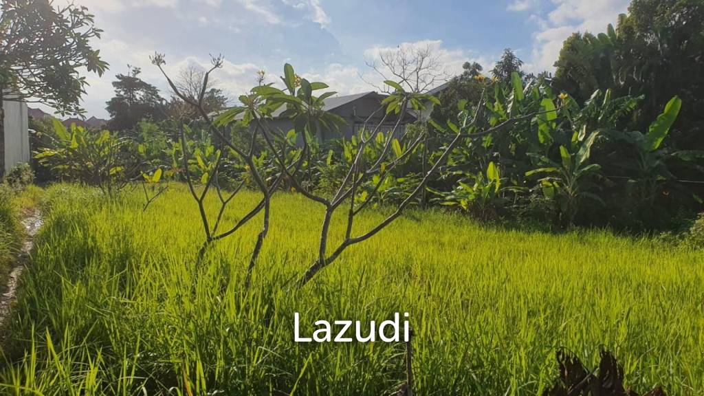 1000m2 Leasehold Land Block in Plataran Canggu