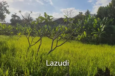 1000m2 Leasehold Land Block in Plataran Canggu