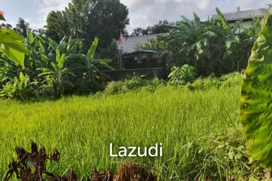 1000m2 Leasehold Land Block in Plataran Canggu