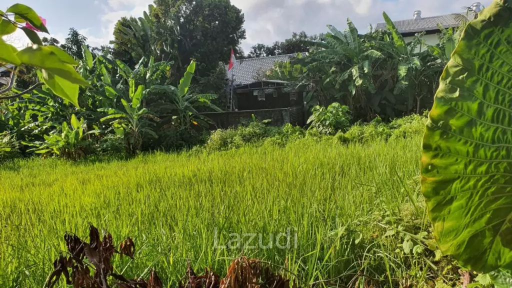 1000m2 Leasehold Land Block in Plataran Canggu