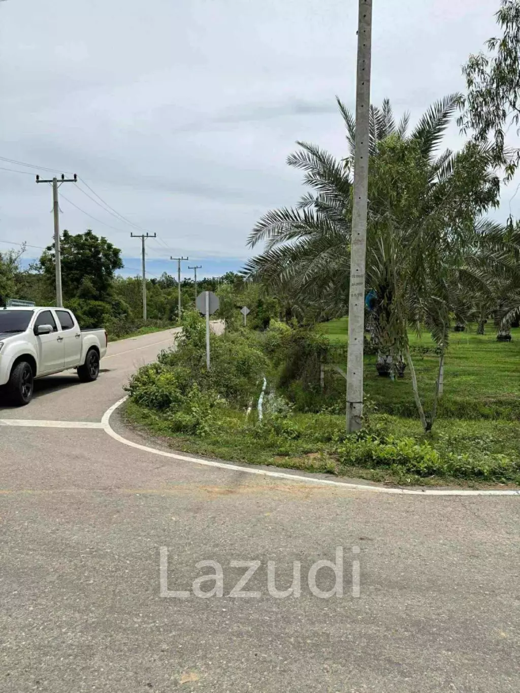 30 Rai Date Palm Garden for Sale