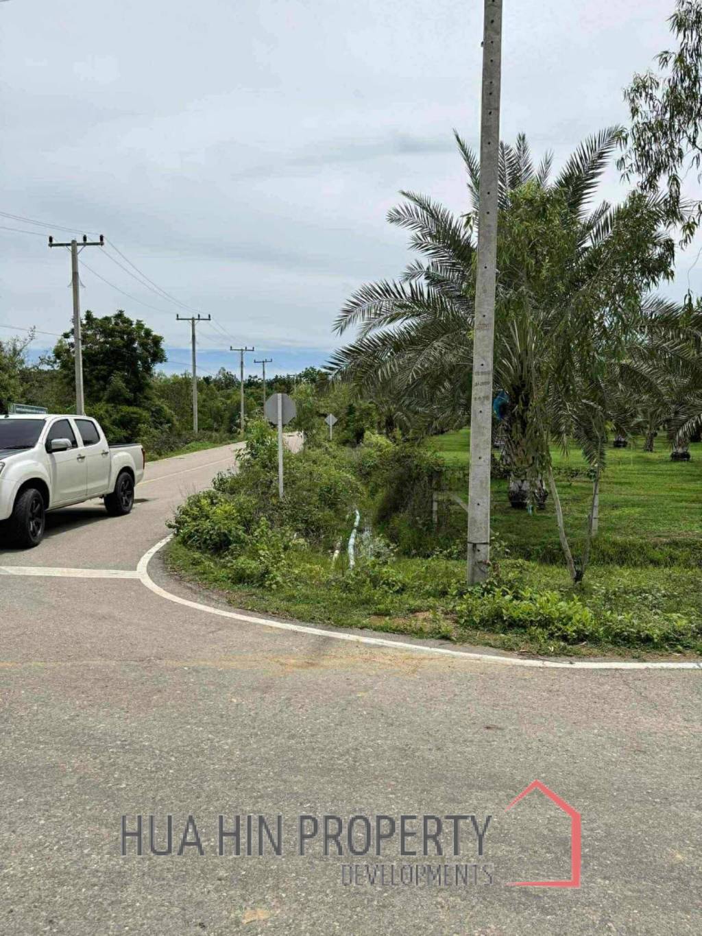 30 Rai Date Palm Garden for Sale