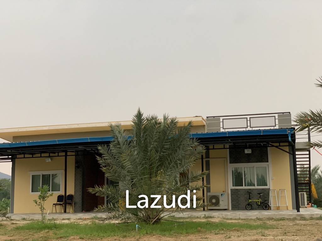 30 Rai Date Palm Garden for Sale