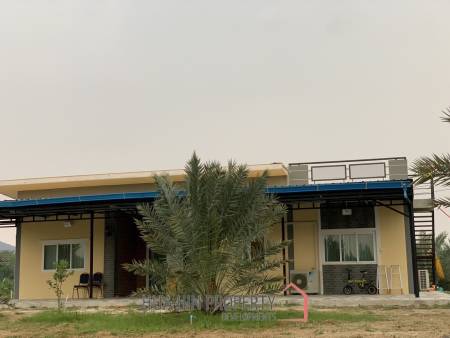 30 Rai Date Palm Garden for Sale