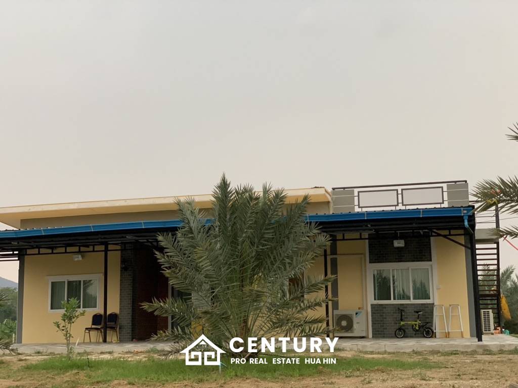 30 Rai Date Palm Garden for Sale