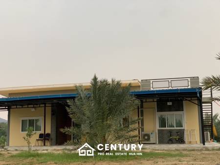 30 Rai Date Palm Garden for Sale