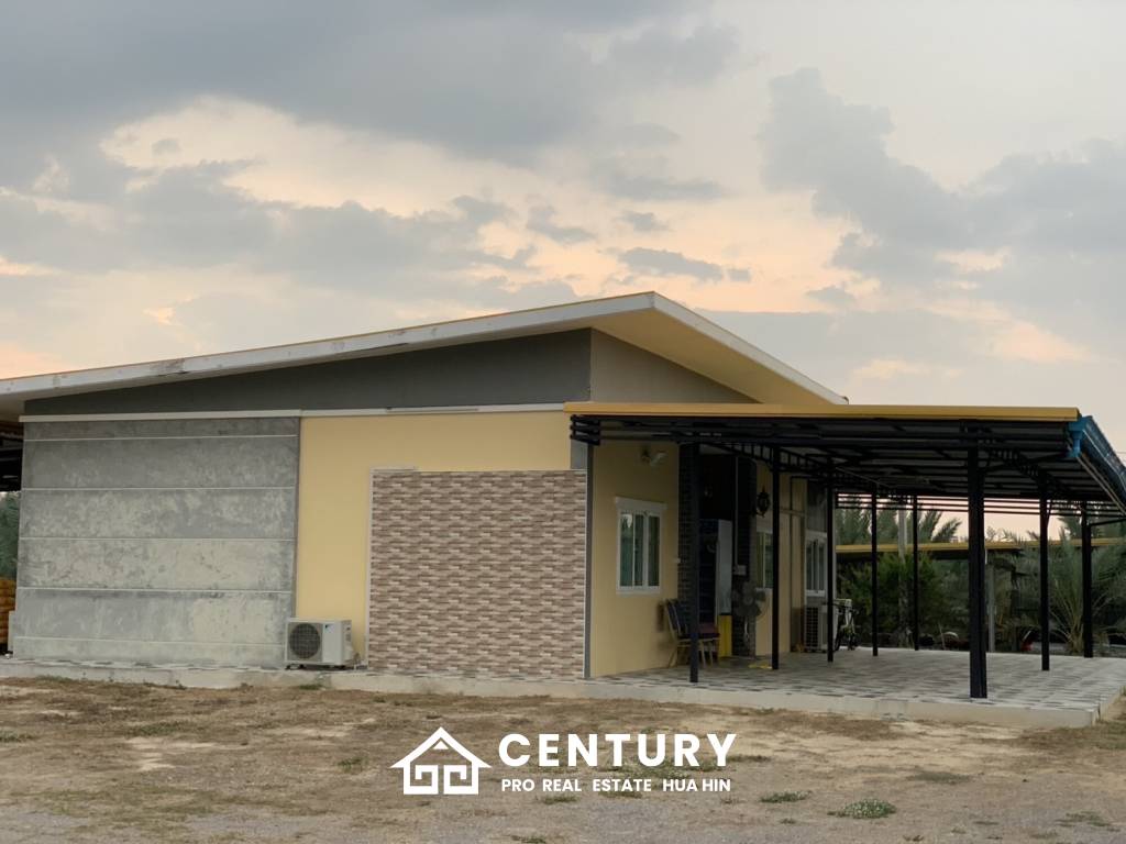 30 Rai Date Palm Garden for Sale