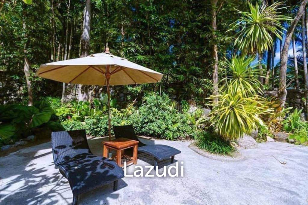 Spacious 4-Bedroom Villa with Private Jacuzzi for Sale in Patong