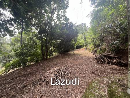 4 Rai of Land for sale on a hill near Huai Pla Kang Temple.