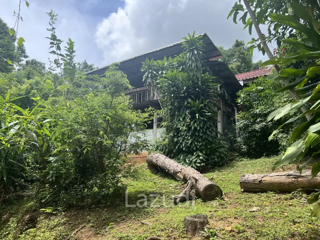 4 Rai of Land for sale on a hill near Huai Pla Kang Temple.