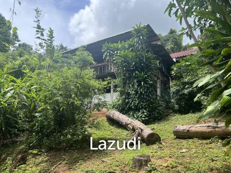 4 Rai of Land for sale on a hill near Huai Pla Kang Temple.