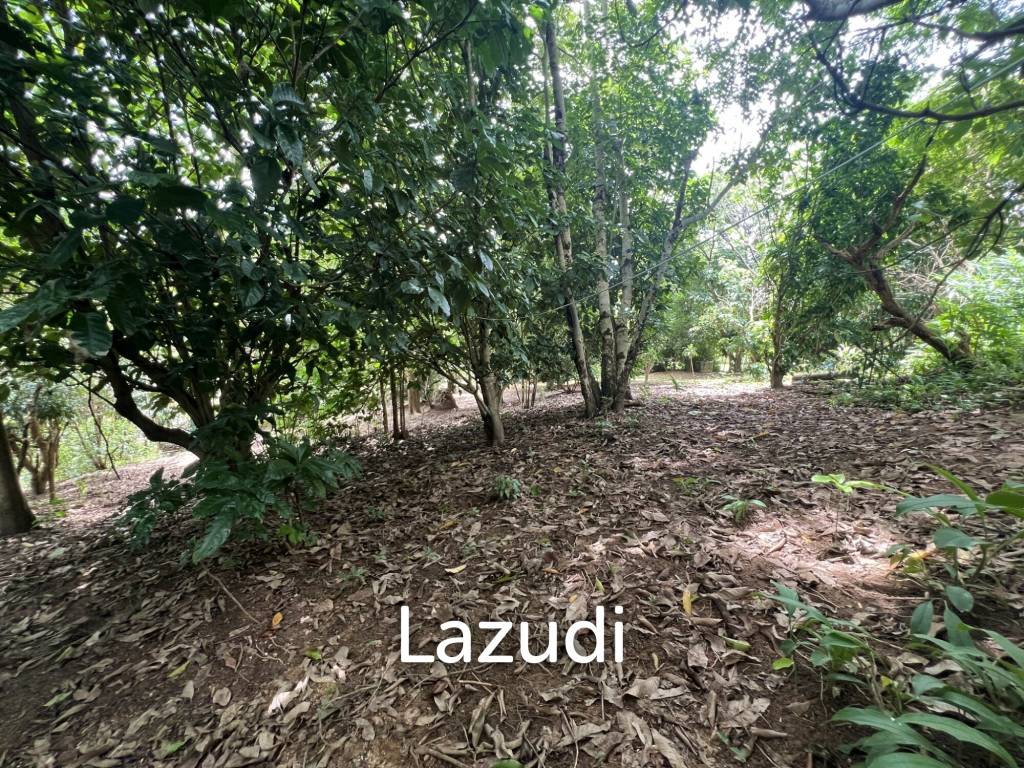 4 Rai of Land for sale on a hill near Huai Pla Kang Temple.
