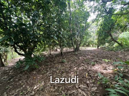 4 Rai of Land for sale on a hill near Huai Pla Kang Temple.