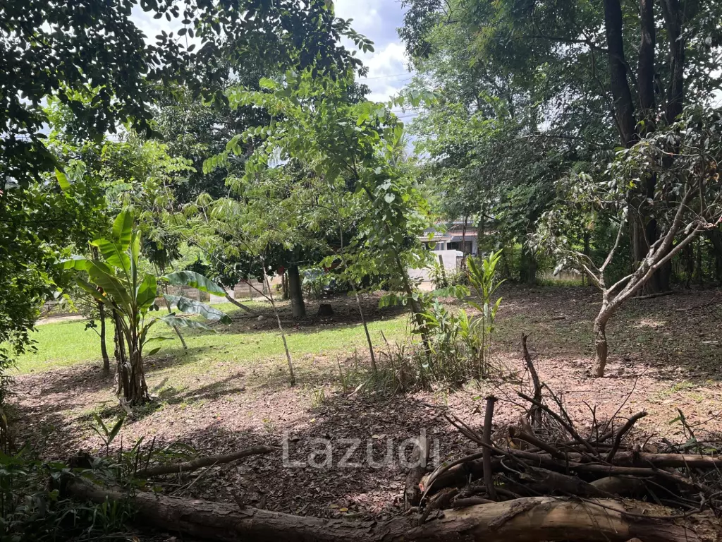 4 Rai of Land for sale on a hill near Huai Pla Kang Temple.