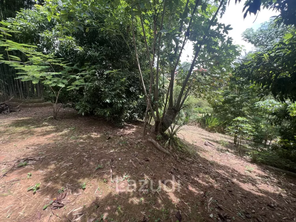4 Rai of Land for sale on a hill near Huai Pla Kang Temple.