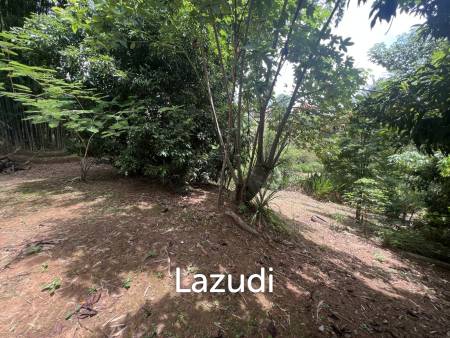 4 Rai of Land for sale on a hill near Huai Pla Kang Temple.