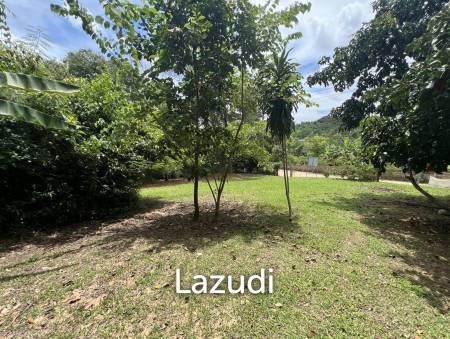 4 Rai of Land for sale on a hill near Huai Pla Kang Temple.