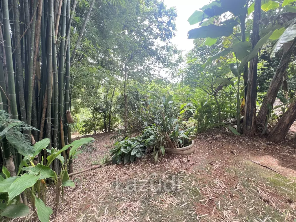4 Rai of Land for sale on a hill near Huai Pla Kang Temple.