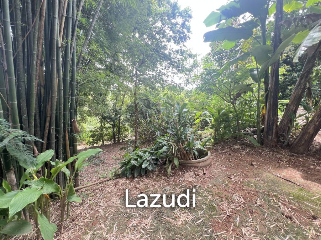 4 Rai of Land for sale on a hill near Huai Pla Kang Temple.