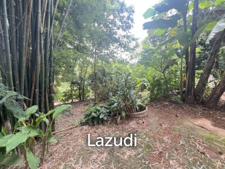 4 Rai of Land for sale on a hill near Huai Pla Kang Temple.