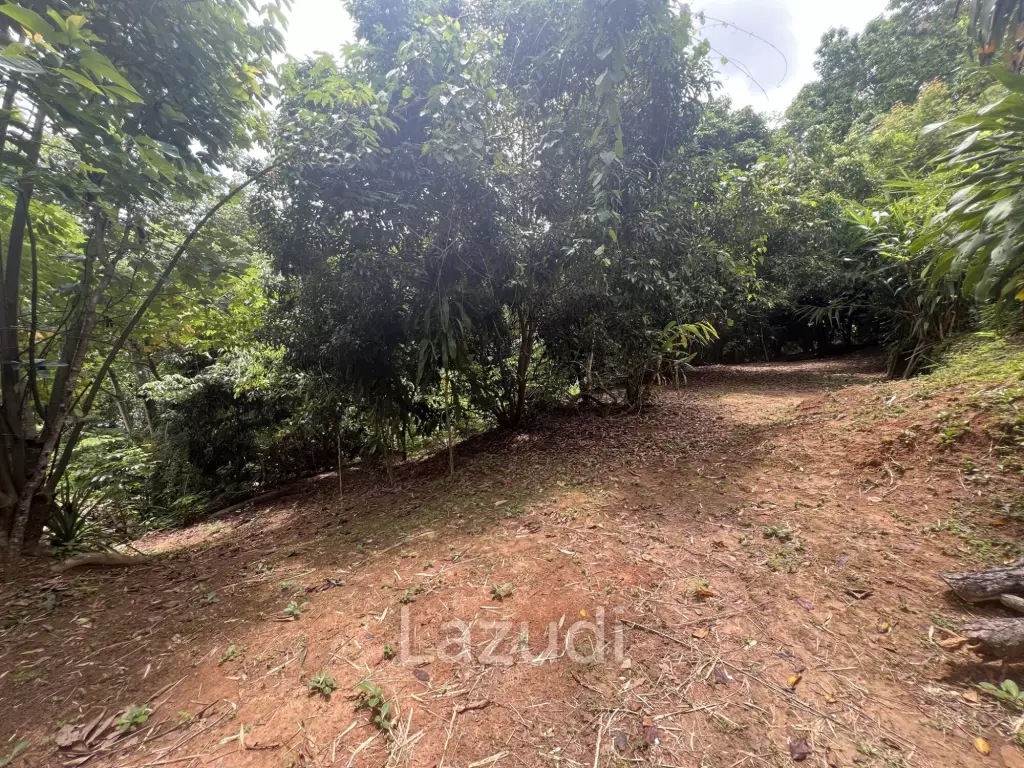 4 Rai of Land for sale on a hill near Huai Pla Kang Temple.