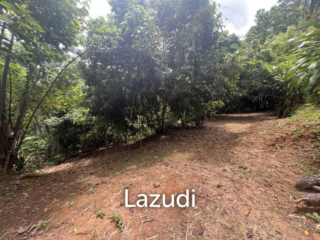 4 Rai of Land for sale on a hill near Huai Pla Kang Temple.