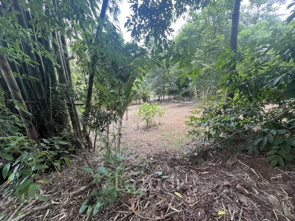 4 Rai of Land for sale on a hill near Huai Pla Kang Temple.
