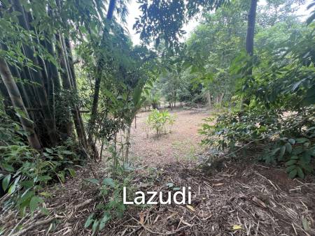 4 Rai of Land for sale on a hill near Huai Pla Kang Temple.