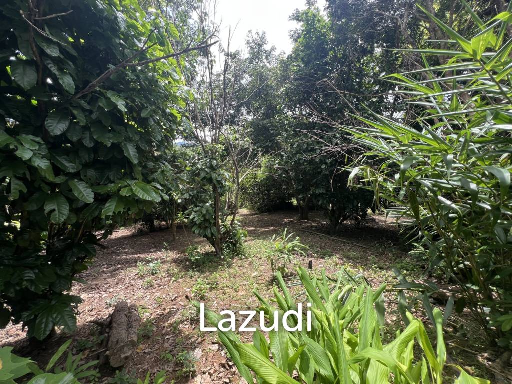4 Rai of Land for sale on a hill near Huai Pla Kang Temple.