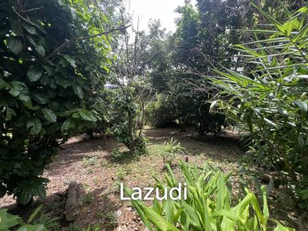 4 Rai of Land for sale on a hill near Huai Pla Kang Temple.