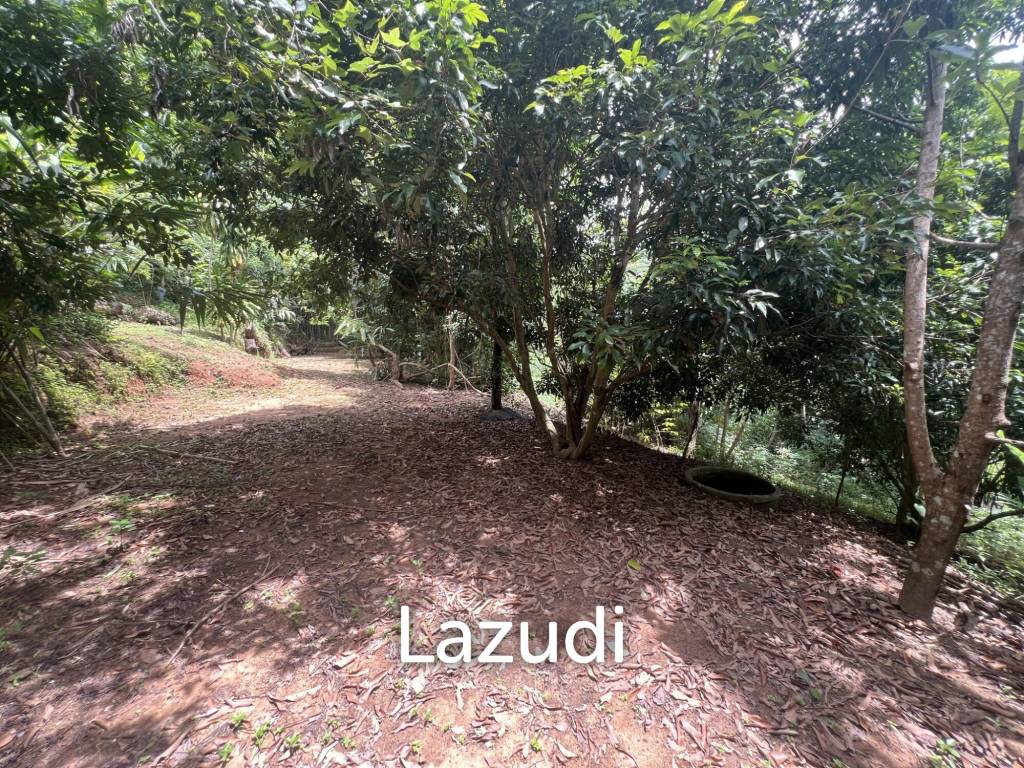 4 Rai of Land for sale on a hill near Huai Pla Kang Temple.
