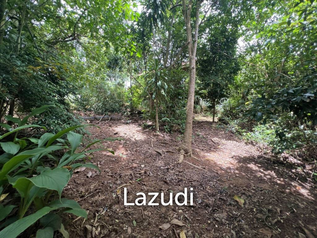 4 Rai of Land for sale on a hill near Huai Pla Kang Temple.