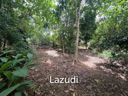 4 Rai of Land for sale on a hill near Huai Pla Kang Temple.