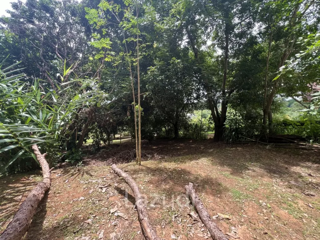 4 Rai of Land for sale on a hill near Huai Pla Kang Temple.