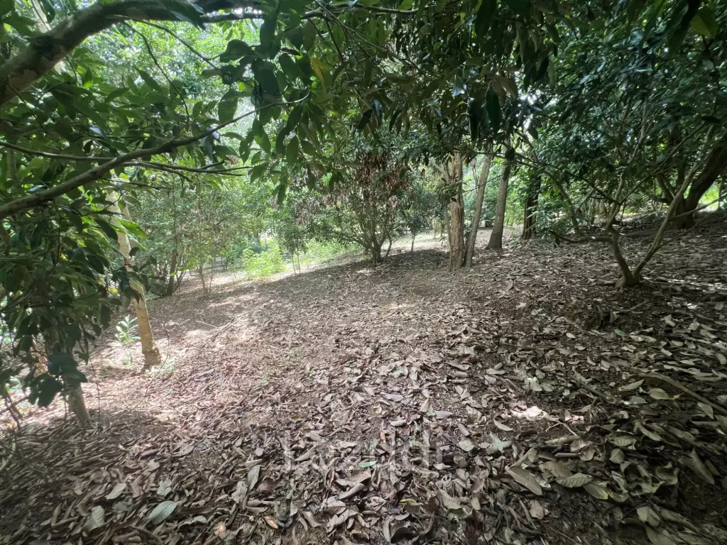 4 Rai of Land for sale on a hill near Huai Pla Kang Temple.