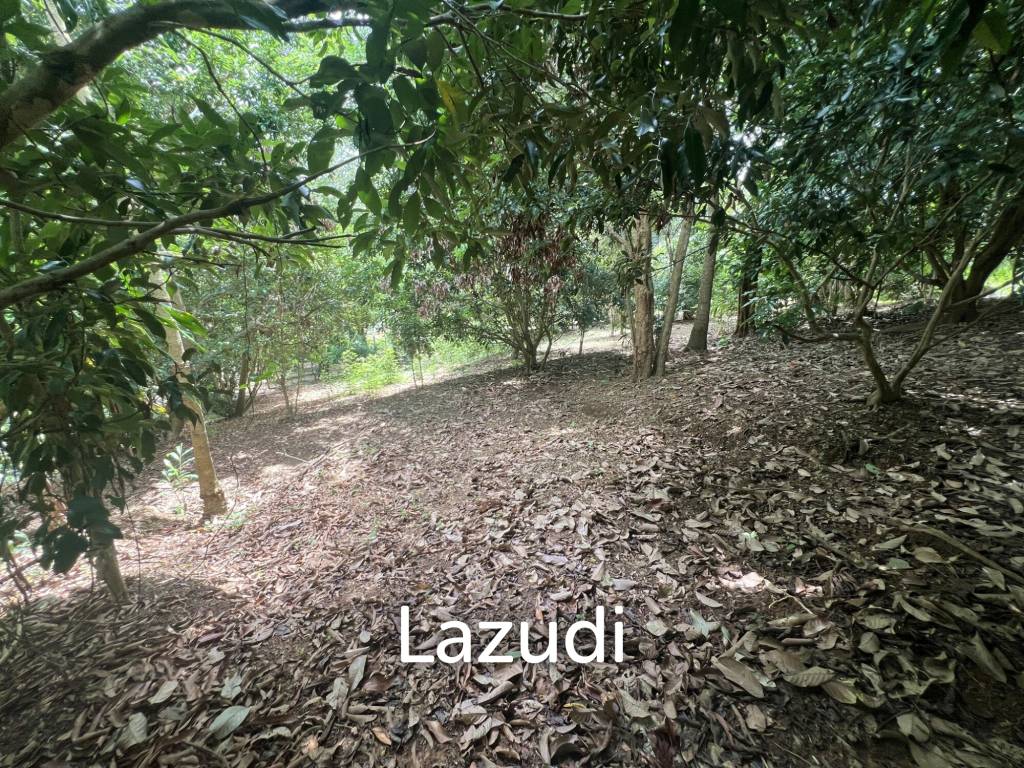 4 Rai of Land for sale on a hill near Huai Pla Kang Temple.