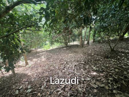4 Rai of Land for sale on a hill near Huai Pla Kang Temple.