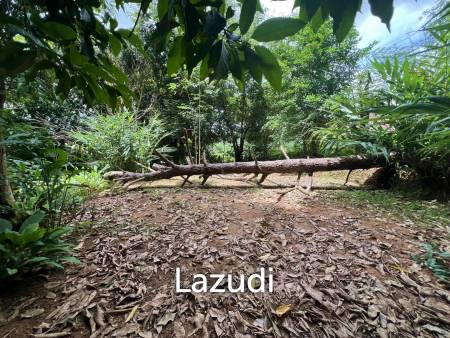 4 Rai of Land for sale on a hill near Huai Pla Kang Temple.