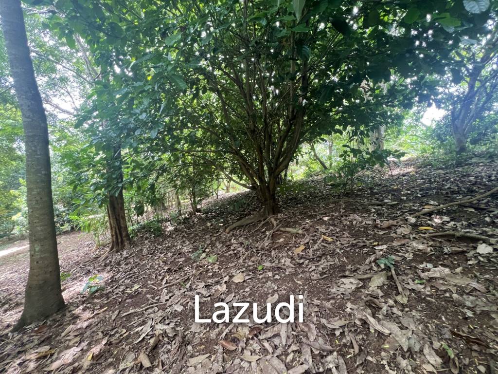 4 Rai of Land for sale on a hill near Huai Pla Kang Temple.